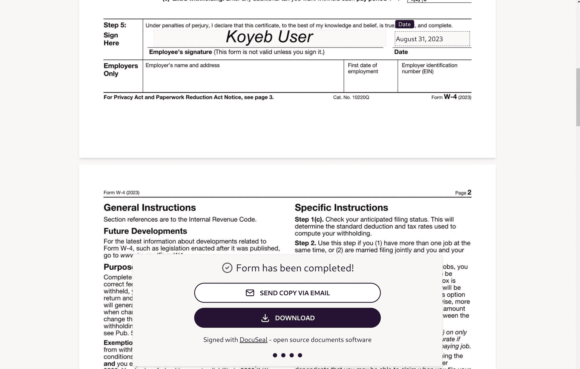 DocuSeal download or email form