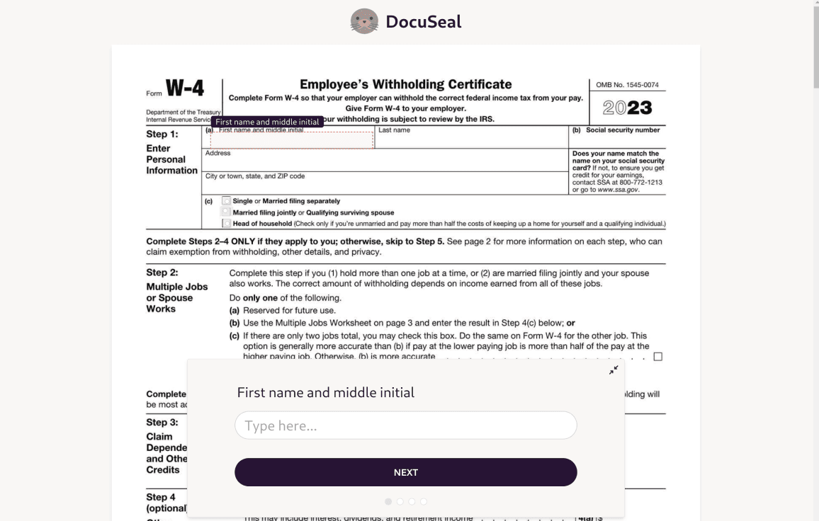 DocuSeal fill out the form